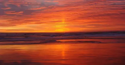 catamaran-dolphin-sunset-adventure-cruise